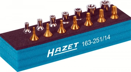 Hazet 163-251/14 Набор инструментов TORX®