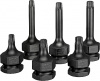 Hazet 995S6/6 1/2" 24 мм Внешний шестигранник Набор ударных торцевых головок-бит Внутренний профиль TORX® prc