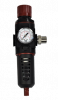 Фильтр с регулятором давления 3/8", 2060 л/мин, 20мкм Flexbimec 7180/38